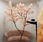Bloesemboom, Ophalen, Nieuw, Binnen