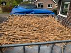 Riet (oud en nieuw), Tuin en Terras, Ophalen of Verzenden