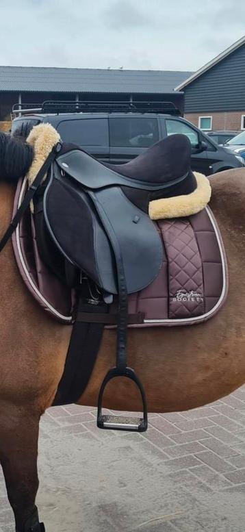 Harry's horse dekje maat full beschikbaar voor biedingen
