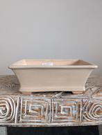 Bonsai pot 21x13x8cm, Tuin en Terras, ., Ophalen of Verzenden, Zo goed als nieuw, .