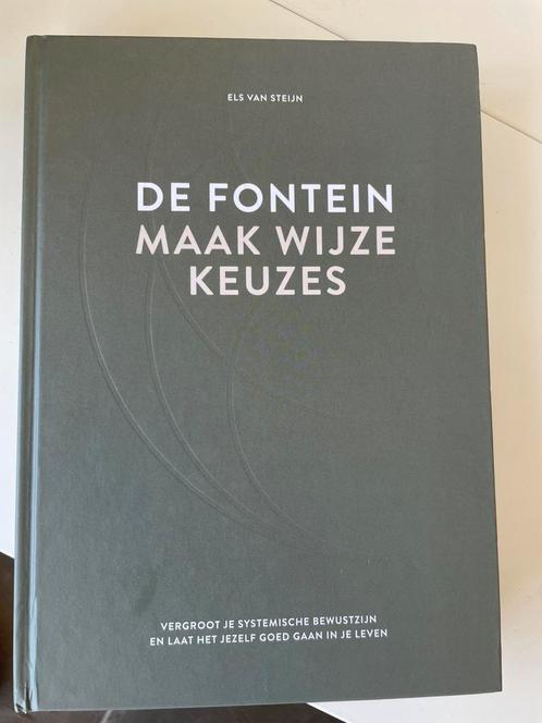 Els van Steijn - De fontein, maak wijze keuzes, Boeken, Psychologie, Zo goed als nieuw, Ophalen of Verzenden