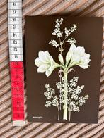 1071. Kaart illustr Bloem Amaryllis, Ophalen of Verzenden, Ongelopen