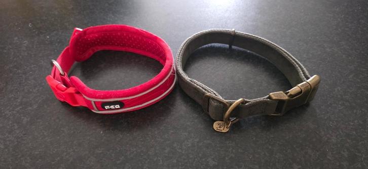 Halsband maat m/l, Dieren en Toebehoren, Hondenhalsbanden en Penningen, Nieuw, Ophalen of Verzenden