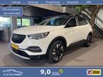 Opel Grandland X 1.2 Turbo Business Executive Two-Tone | Tre, Origineel Nederlands, Te koop, 5 stoelen, 1400 kg