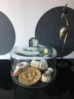 Mooie stolp met onderschaal, Huis en Inrichting, Woonaccessoires | Stolpen, Ophalen of Verzenden, Zo goed als nieuw