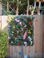Op kleur gemaakte laurier Bloemen wand!, Ophalen of Verzenden, Zo goed als nieuw
