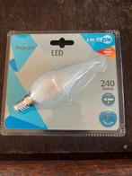 Pro Light ledlamp kaars 2,4W mat E14 fitting, Led-lamp, Minder dan 30 watt, E14 (klein), Ophalen of Verzenden