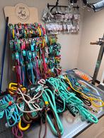 DWAM halsbanden maat S2 cm, Dieren en Toebehoren, Ophalen of Verzenden, Nieuw, Hondenriem