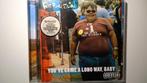 Fatboy Slim - You've Come A Long Way Baby, Ophalen of Verzenden, Zo goed als nieuw, Dance Populair