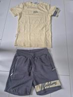 Mooie malelions setje, Ophalen of Verzenden, Zo goed als nieuw