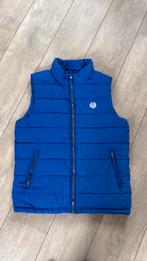 Bodywarmer maat S, Ophalen of Verzenden, Zo goed als nieuw, Zwart