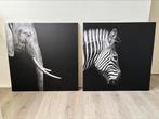 Fotoprint van Olifant en Zebra - zwart-wit canvas – 70x70 cm, Ophalen, Gebruikt, 50 tot 75 cm, 50 tot 75 cm