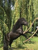 Verzorgster(s) gezocht, Ophalen