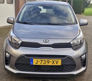 Kia Picanto 1.0 MPi DynamicLine Carplay-Cruise controle  beschikbaar voor biedingen