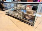 Terrarium met Arcadia T5, Dieren en Toebehoren, Ophalen, Gebruikt, Terrarium of Paludarium