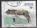 Senegal 1993 - Yvert 1043 - Luipaard - 70 F. (ST), Postzegels en Munten, Postzegels | Afrika, Ophalen, Overige landen, Gestempeld