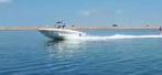 Imperial 21 ft volvo penta diesel vis/speedboot, Watersport en Boten, Speedboten, Gebruikt, Binnenboordmotor, 6 meter of meer