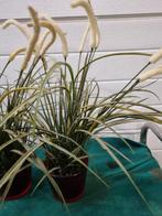 kunst planten 2 stuks fejka, Ophalen of Verzenden, 'T Olde Gre-j, Info@toldegrej.nl, Endepoelstraat 20f Didam