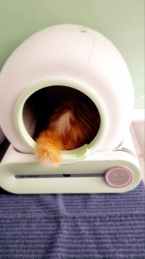 Zelfreinigende automatische kattenbak (mintgroen/wit), Dieren en Toebehoren, Kattenbakken, Zelfreinigend, Ophalen of Verzenden
