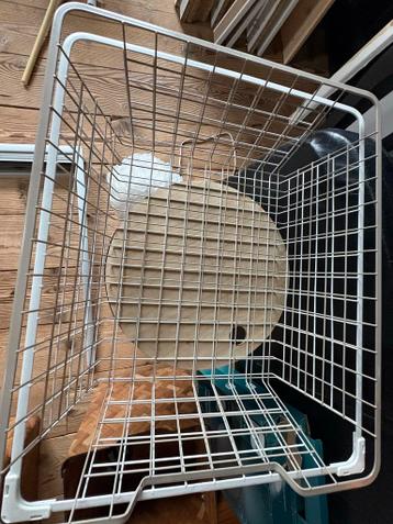 IKEA Pax Kast met deur, spiegel en legplanken - afbeelding 2