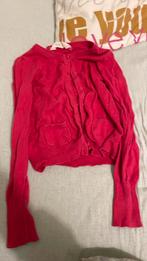 Roze vest, Kinderen en Baby's, Kinderkleding | Maat 110, Ophalen of Verzenden, Zo goed als nieuw, Meisje, Trui of Vest