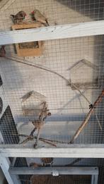 Zebravinken, Dieren en Toebehoren, Vogels | Hokken en Kooien, Ophalen of Verzenden, Zo goed als nieuw, Vogelkooi
