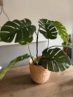IKEA Kunstplant Monstera met pot, Ophalen, Zo goed als nieuw, Binnen