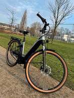 Pegasus premio evo 5F belt, Fietsen en Brommers, Fietsen | Dames | Damesfietsen, Minder dan 47 cm, Ophalen, Zo goed als nieuw