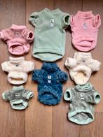 Hondentrui Handmade Chihuahua Dwergkees Boomer pup Pomeriaan, Dieren en Toebehoren, Ophalen of Verzenden, Nieuw, Hondentrui