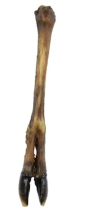 Partij hertenpoten 40 sruks, Ophalen, Hond