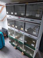 Broedkooien, Ophalen, Kunststof, Broedkooi of Kweekkooi