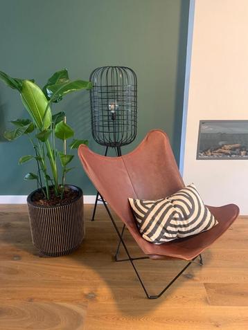 Vlinderstoel / Butterfly Chair Cuero Design   beschikbaar voor biedingen