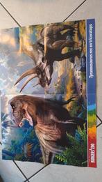 Poster dinosaurussen 60/42
Voor een goedkoop pak speculaasje, Ophalen, Zo goed als nieuw