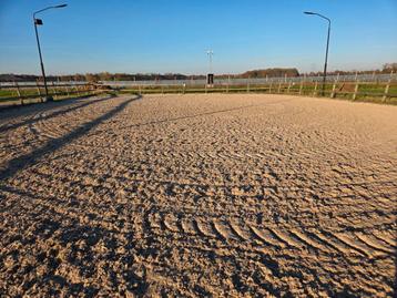 Bodem voor paardenbak beschikbaar voor biedingen
