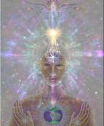 Reiki SBL inwijding afstand online certificaat healing magie, Ophalen of Verzenden, Nieuw, Spiritualiteit algemeen, Instructieboek