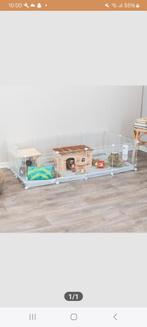 Cavia ren met bodem, Dieren en Toebehoren, Zo goed als nieuw, Ren, Cavia, Ophalen