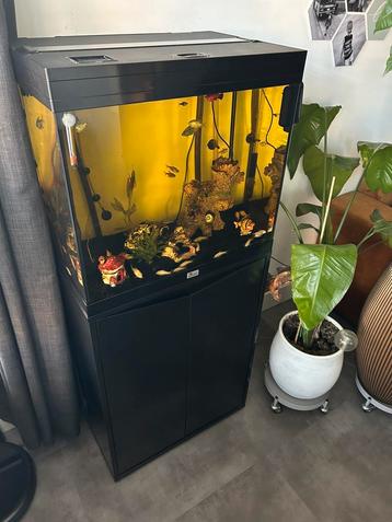 Aquarium met meubel beschikbaar voor biedingen