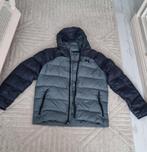 Under armour heren jas maat L, Maat 52/54 (L), Zwart, Under Armour, Ophalen of Verzenden