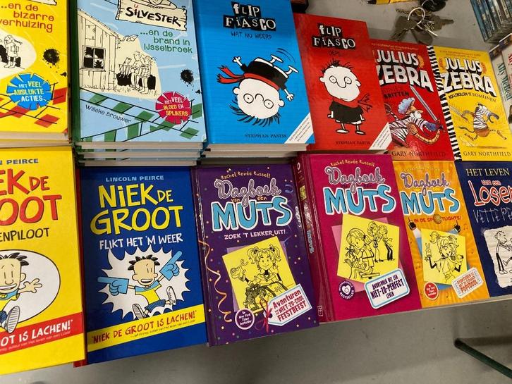 Silvester Flip Fiasco Dagboek van een muts Niek de Groot ea, Boeken, Kinderboeken | Jeugd | onder 10 jaar, Zo goed als nieuw, Fictie algemeen