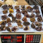 Marokko mix, Verzamelen, Mineralen en Fossielen, Ophalen of Verzenden