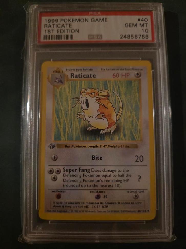 Raticate 1st Edition Shadowless PSA 10, Hobby en Vrije tijd, Verzamelkaartspellen | Pokémon, Ophalen of Verzenden