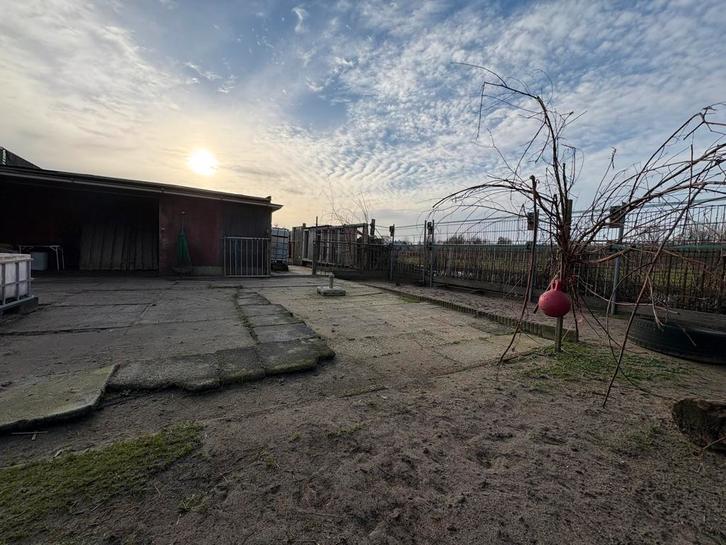 Privé buitenplek 24/7 met schuilstallen voor lieve pony/shet, Dieren en Toebehoren, Stalling en Weidegang, Stalling