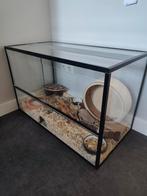 Terrarium / hamsterhok incl toebehoren, Dieren en Toebehoren, Zo goed als nieuw, Ophalen, Minder dan 60 cm, Hok