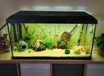 Aqarium Juwel met toebehoren, Ophalen, Zo goed als nieuw, Leeg aquarium