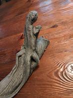 Stenen hagedis lizard uit Australië, Antiek en Kunst, Ophalen of Verzenden