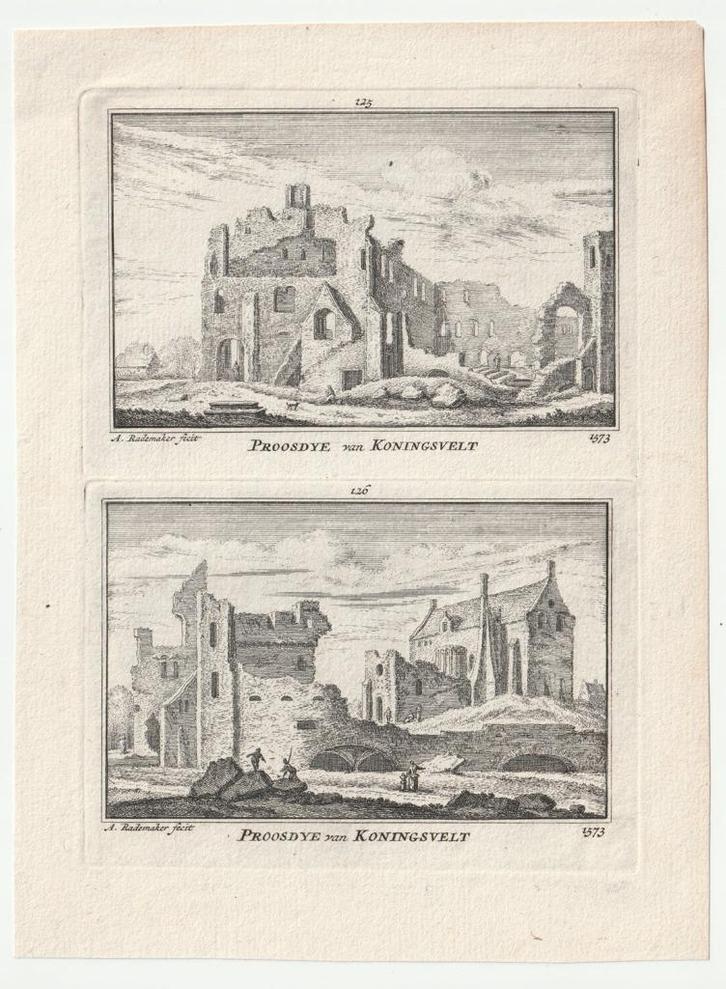 Proosdye van Koningsvelt nabij Delf gravure Rademaker, Antiek en Kunst, Kunst | Etsen en Gravures, Verzenden