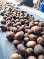 Aardappelen, Ophalen
