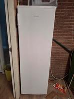 Exquisit Diepvrieskast - Ruim en Betrouwbaar!, Ophalen