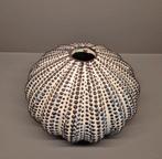 Daan Kromhout vaas / zee-egel, Huis en Inrichting, Overige kleuren, Aardewerk of Porselein, Ophalen of Verzenden, Zo goed als nieuw