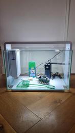 Aquarium Superfish Home 60 wit, compleet, Dieren en Toebehoren, Ophalen, Gebruikt, Leeg aquarium
